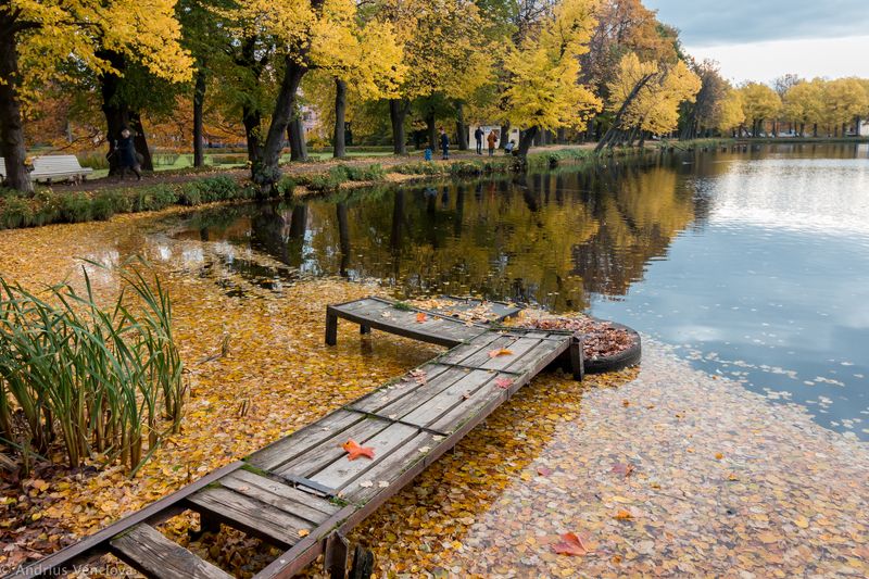 Red Pondphoto preview