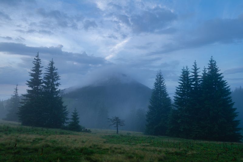 карпаты, горганы, гора хомяк Таинственное утроphoto preview