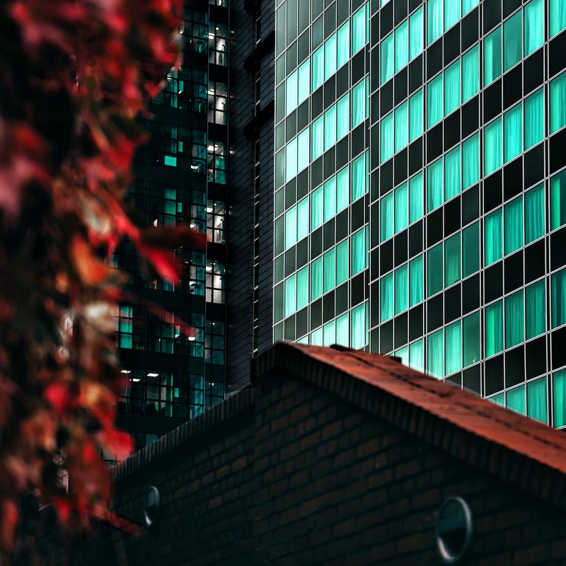 Colors and Shapesphoto preview