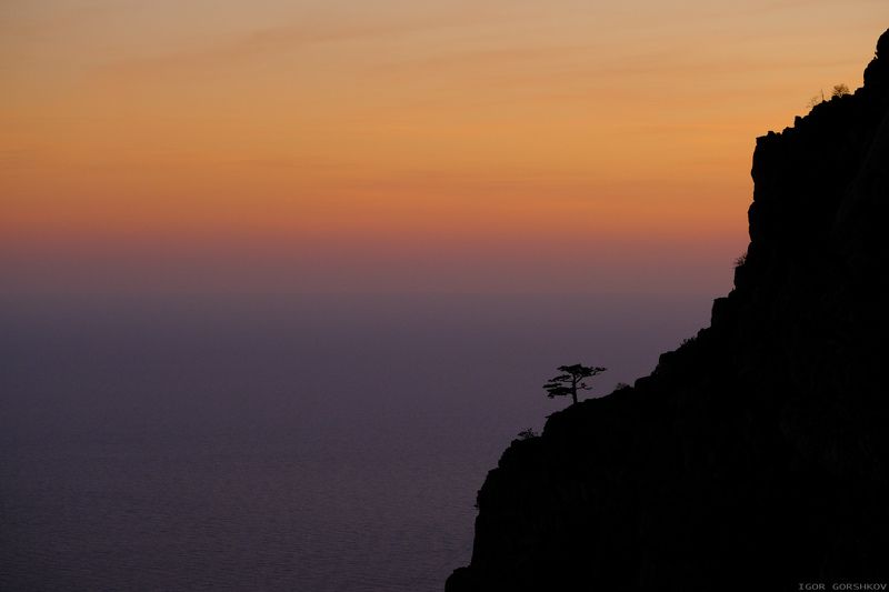крым, горы,закат,вечер,пейзаж,скалы,дымка,дерево,море,бесконечность Созерцающий бесконечное мореphoto preview