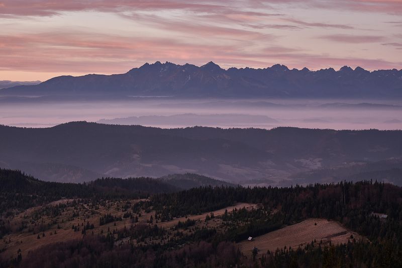 morning,sunrise,sunset,fog,haze,tatras,trees T1photo preview