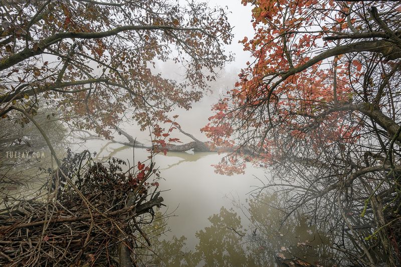 кубань, ноябрь, кубанские туманы, таманский полуостров, темрюк Кубанское ноябрьское 2018 #2photo preview