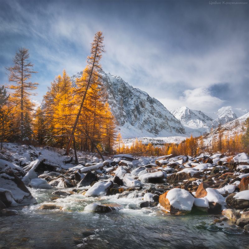 Алатай, Актру, Актуру, Караташ Алтай. Долина Актуру.photo preview