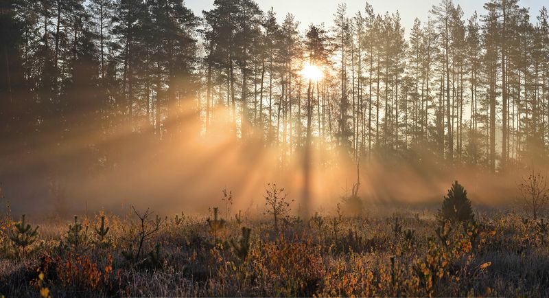 Осеннее утро.photo preview