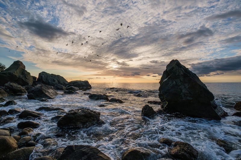 крым,море,утро,камни,скалы,берег,облака,рассвет,пейзаж,волны,пена,вода,птицы,стая Утреннее мореphoto preview