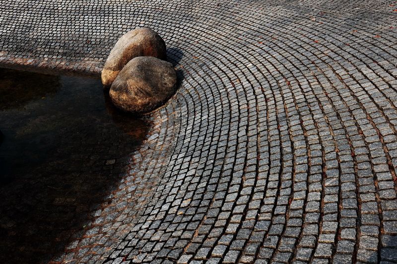 Zen Phto 3photo preview