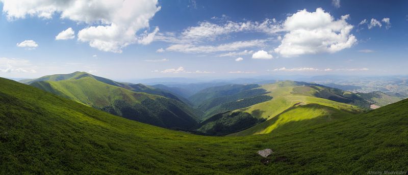 Карпаты, Украина, боржава, закарпатье, карпати, лето Зеленаяphoto preview