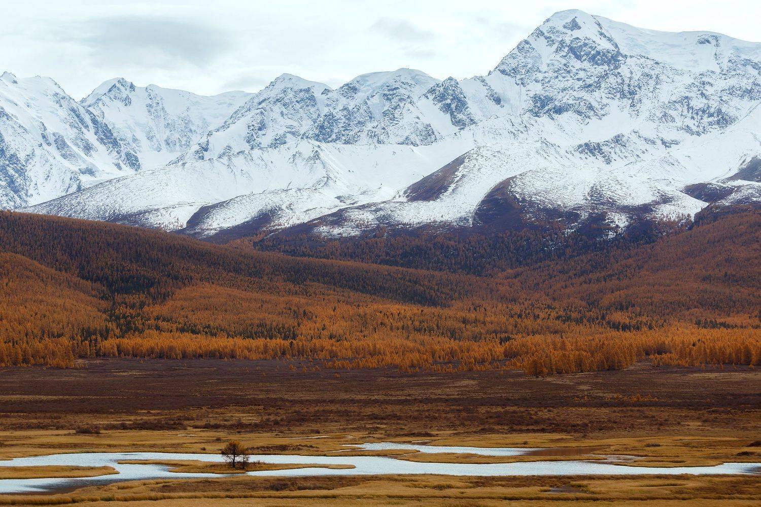 , Станислав Попов