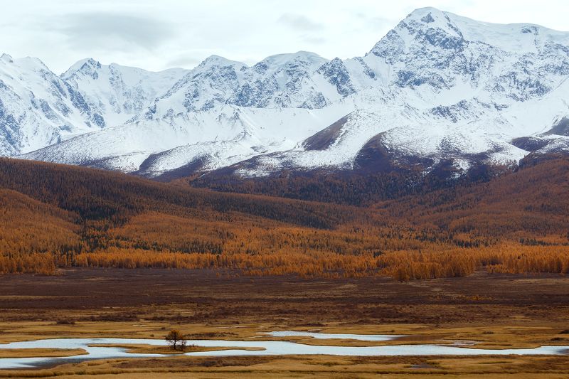 Рука Куркурекphoto preview