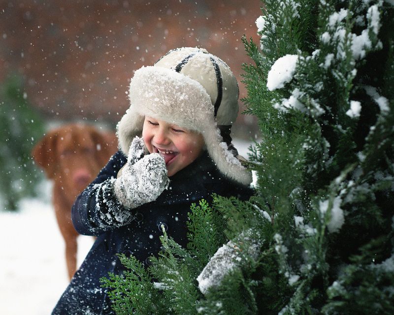 Зима пришла) фото превью