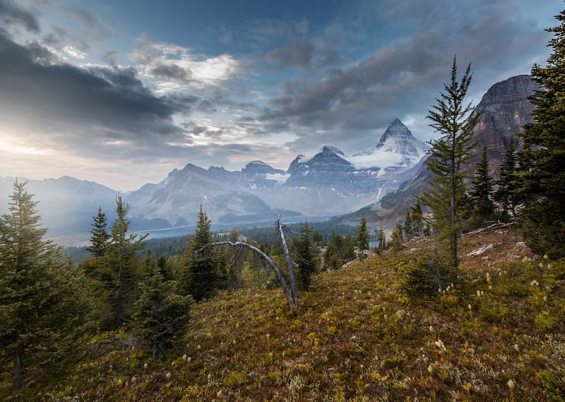 assiniboine, sunrise ВИЛКАphoto preview