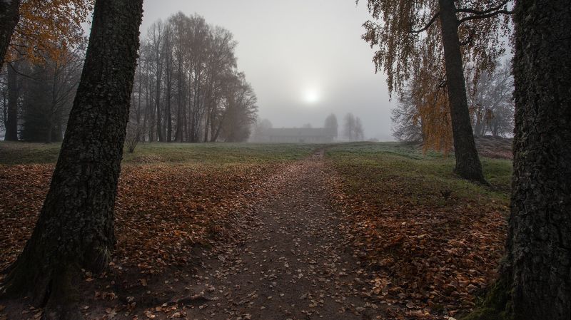 Октябрь, Тригорское, Пушкинские Горы, Псковская обл.  Тишину шагами меря...photo preview
