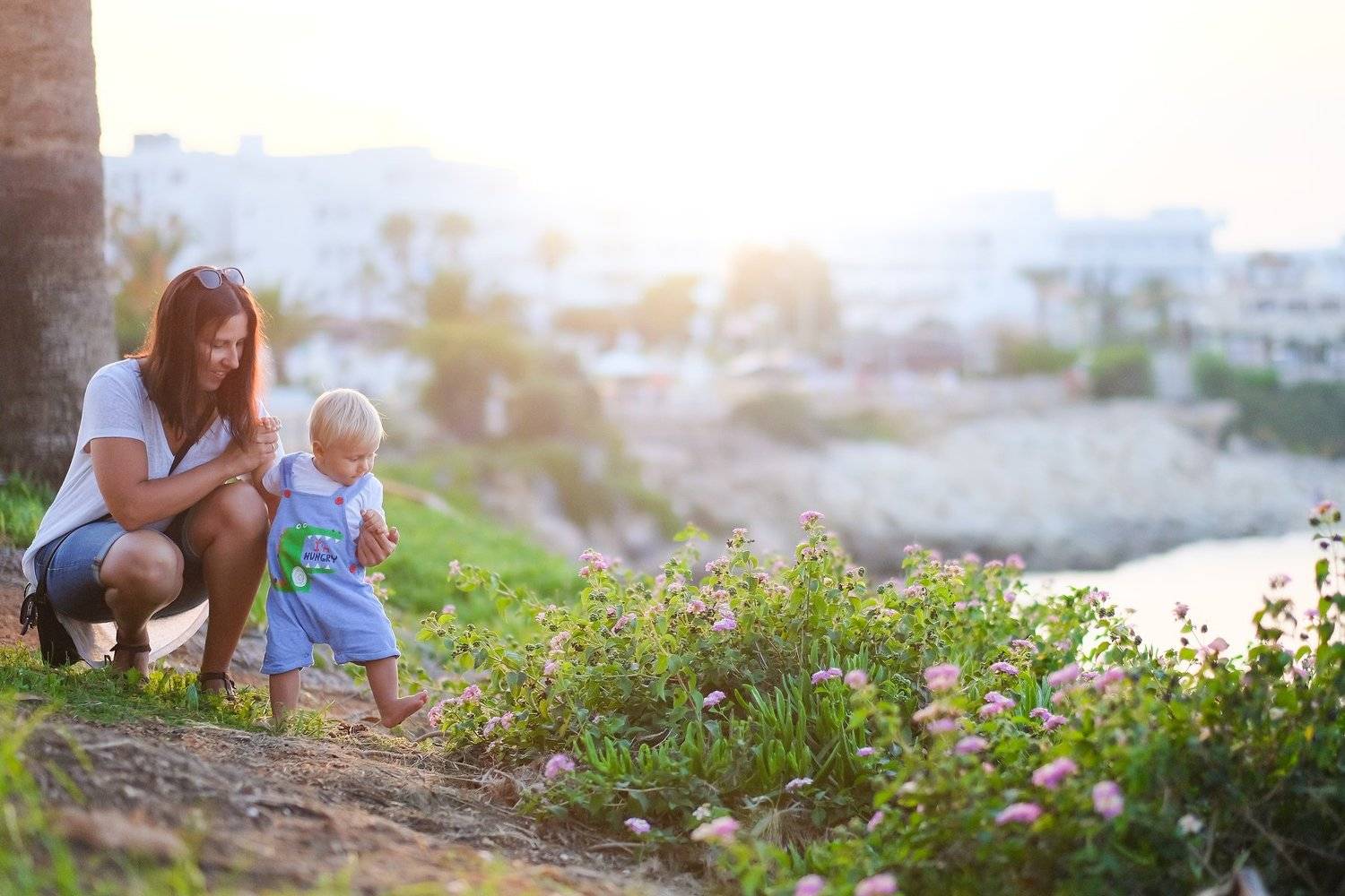 Fig tree bay. Автор: Антон , Антон