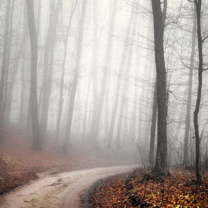 Поворотphoto preview