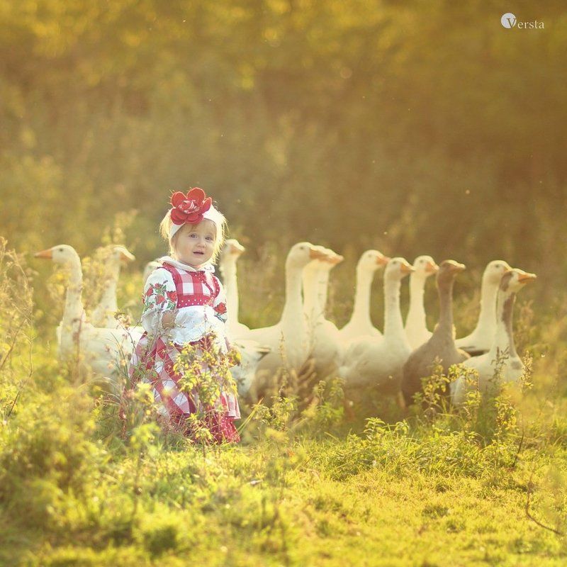 Гуси-гуси. Га-Га-Га. Есть хотите? Да-Да-Да.photo preview