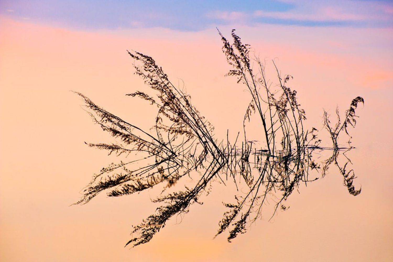 , Срибный Евгений