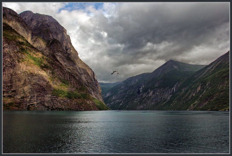 Родина викинговphoto preview