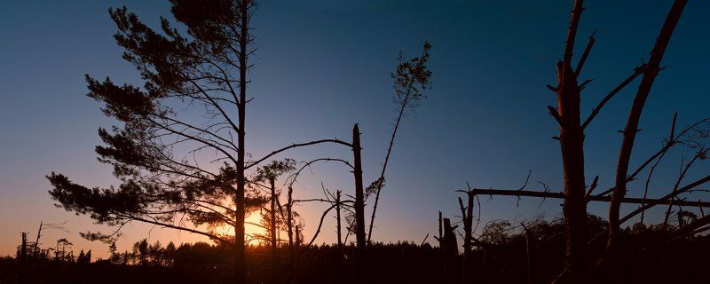 Затишье после ураганаphoto preview