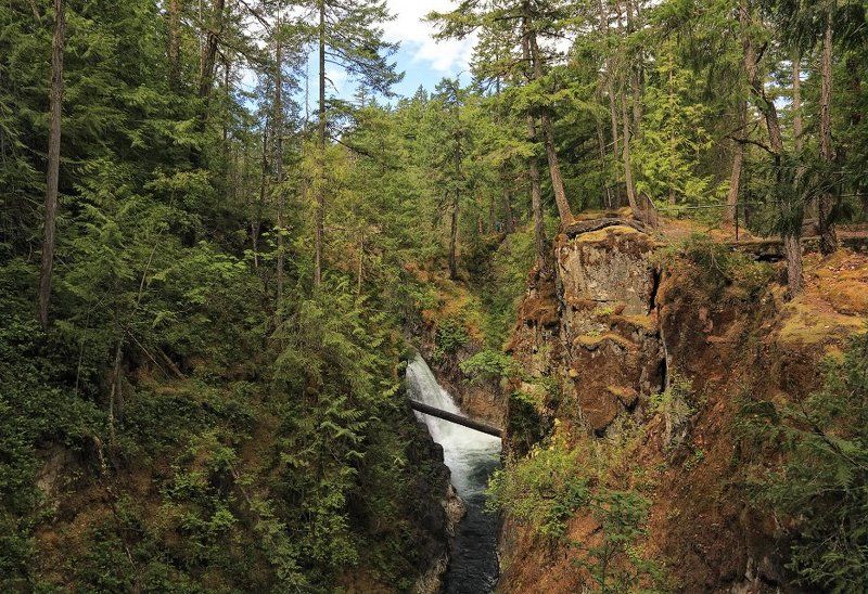 канада, лес, национальный парк, каньон, река, водопад, альберта, Беря начало в ледниках и снегах Скалистых гор, пробивая себе дорогу через камни, горы и леса, бегут реки страны Дикой розы...photo preview