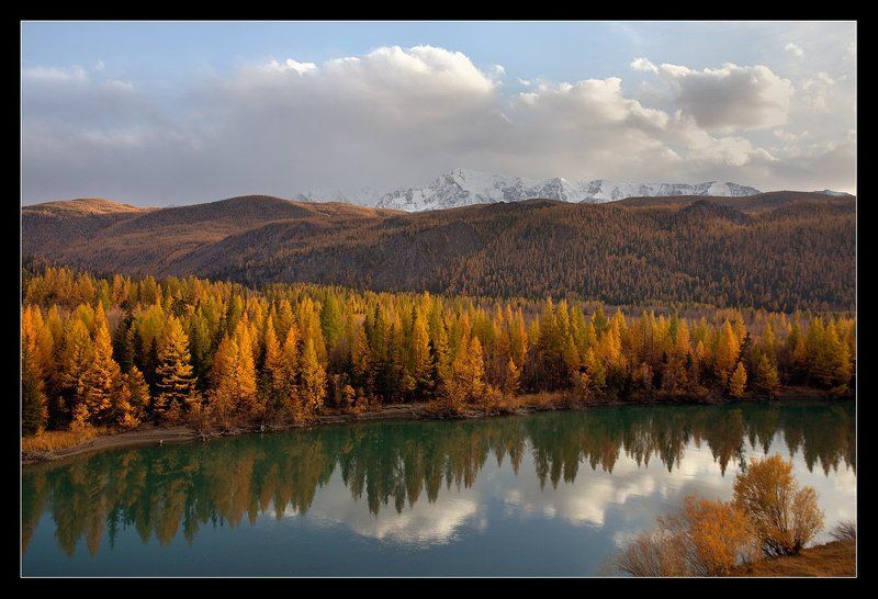 алтай ,река, чуя, осень Река Чуя, осень....photo preview