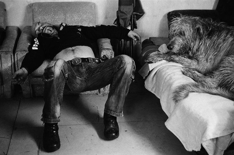 Мальчик и собакаphoto preview