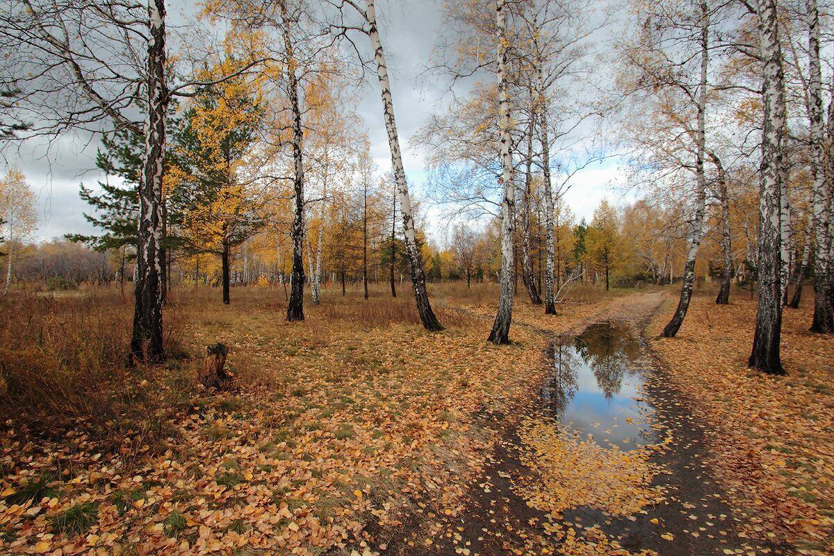 ***. Автор: Andrey , Andrey