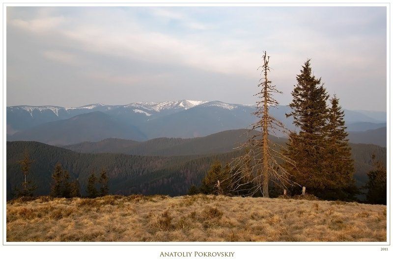 анатолий покровский, карпаты, горы, утро, горганы Раннее весеннее карпатское утроphoto preview