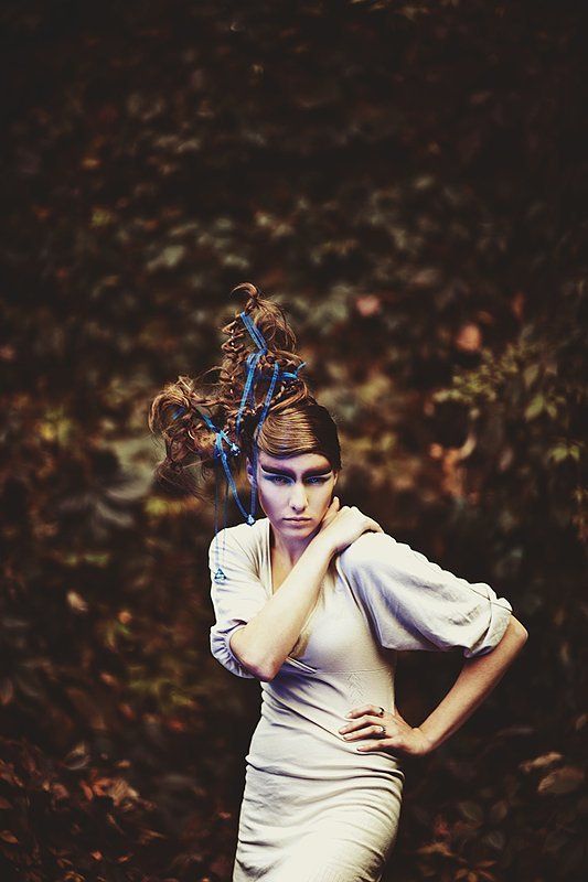 l\'arbrephoto preview