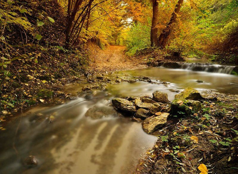 varna, bulgaria Осеньphoto preview