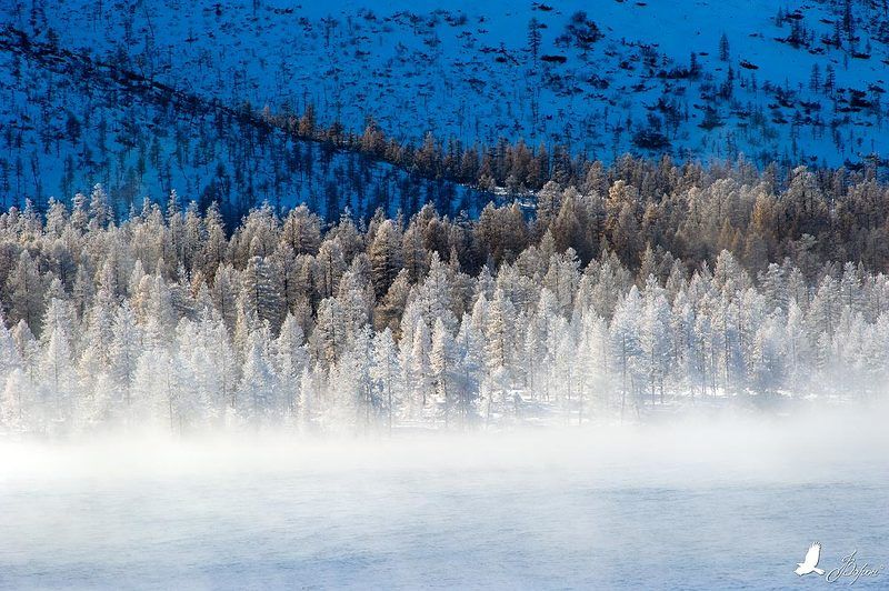 магадан, атка, зима, мороз, озеро, иней, лес, гранд Морозное утроphoto preview