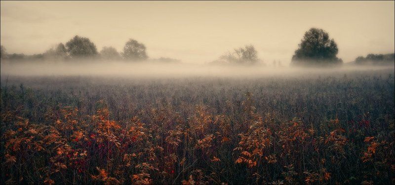 Вяткаphoto preview