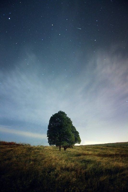 Silent Night ...photo preview