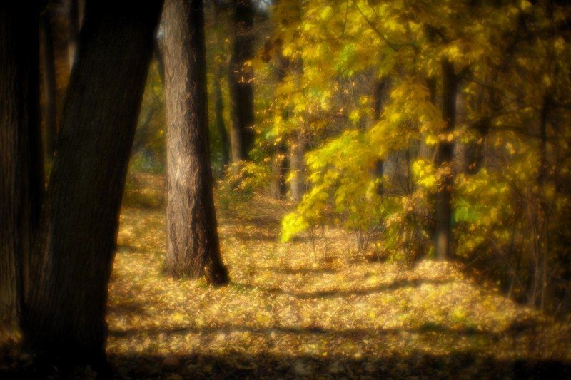 остафьево Осеньphoto preview