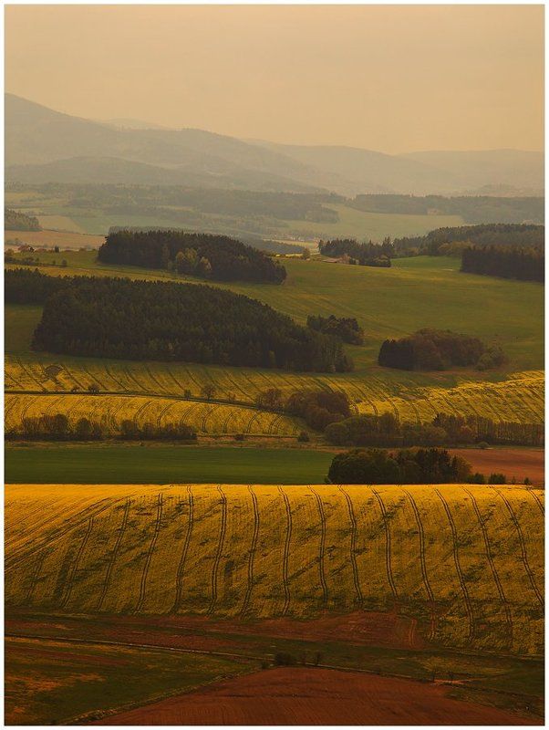 чехия, пейзаж, поля, простор полосатый мирphoto preview