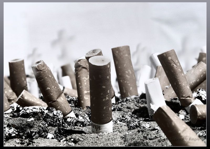 здоровье, сигареты, пепельница кладбище Кладбище здоровьяphoto preview