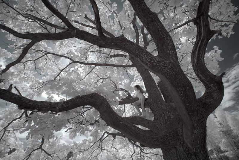 ню, лес, infrared Прогулка...photo preview