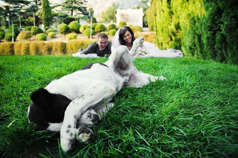 надоели!photo preview