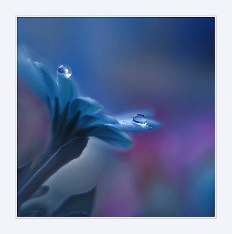 Beyond Mind and Heart.... Автор: Juliana Nan , Juliana Nan