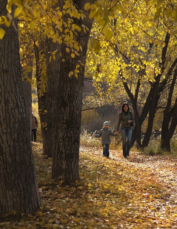 осень, папарацци, город, парк photo preview