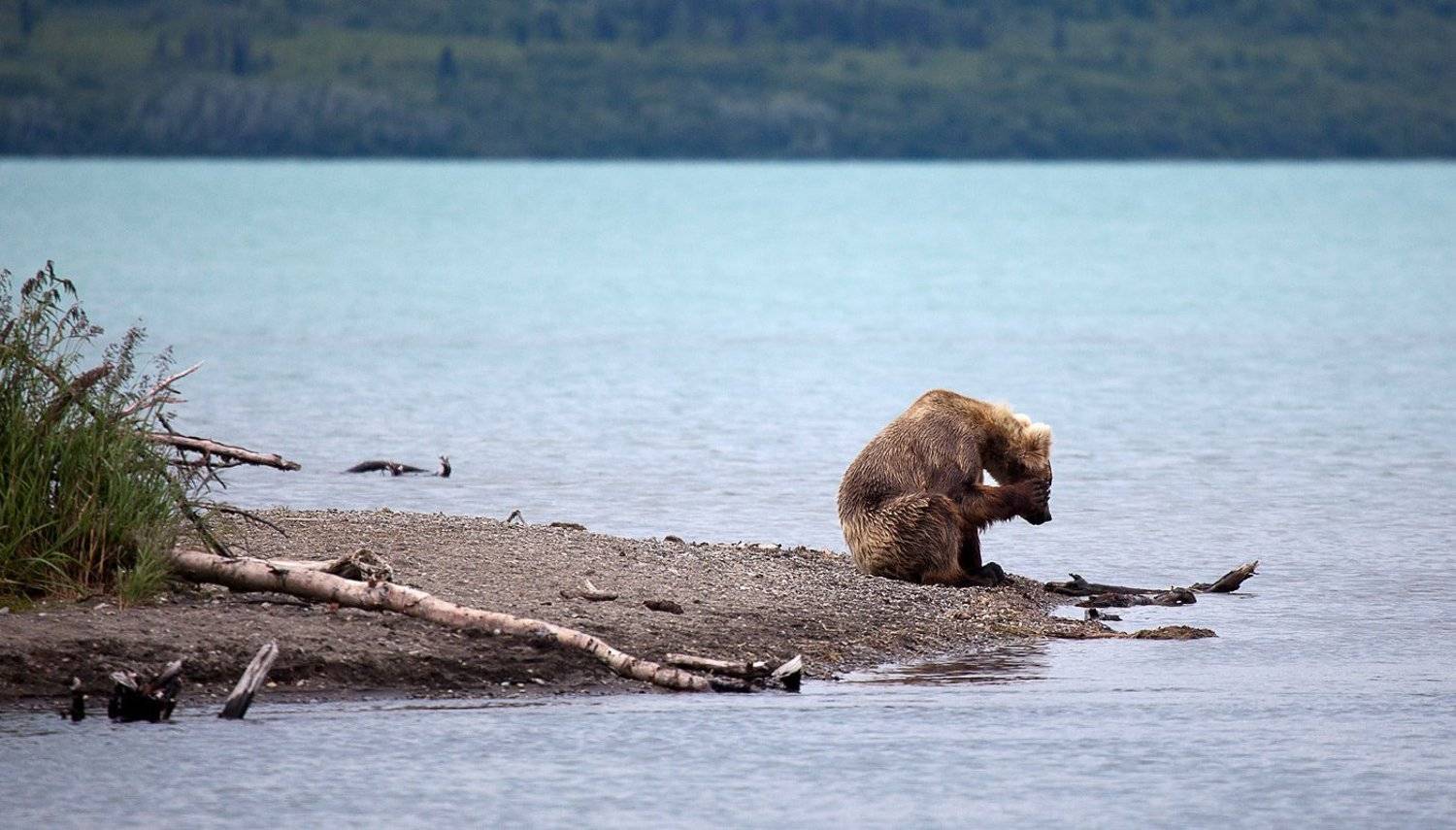 Раз, два, три, четыре, пять... Я иду искать! Кто не спрятался..... Автор: Yuri Ovchinnikov , Yuri Ovchinnikov