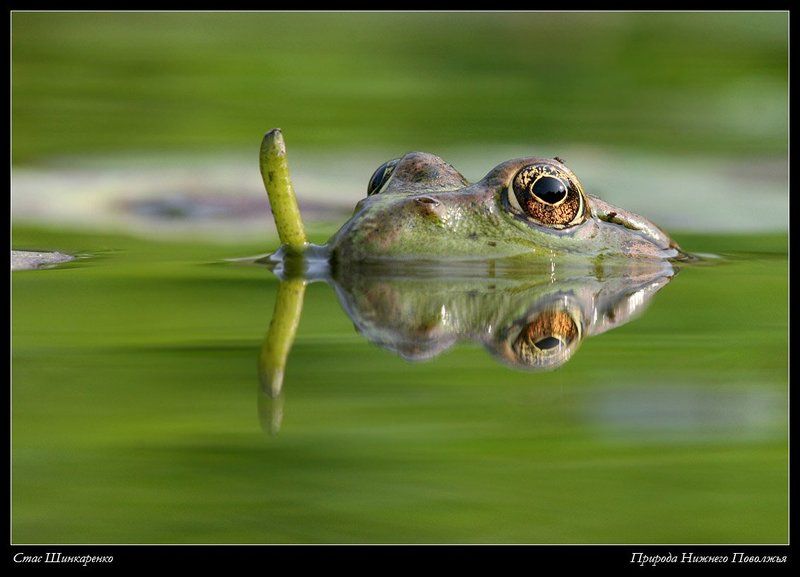 С трубкой нырять лучшеphoto preview
