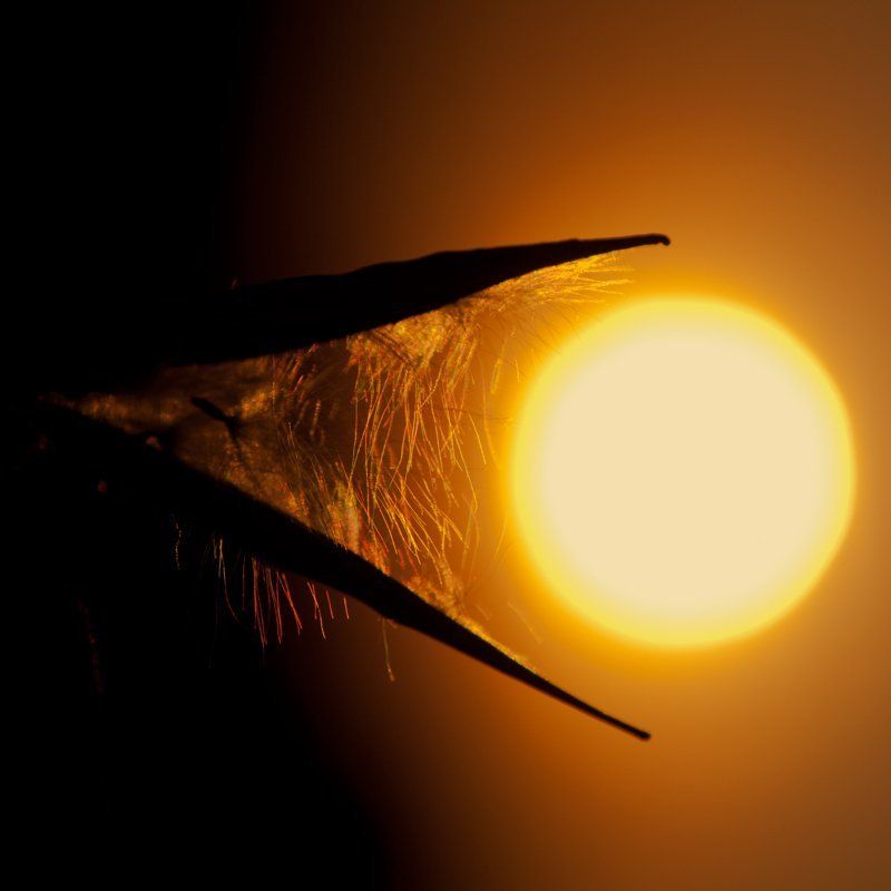 солнце, закат Украденное солнце...photo preview