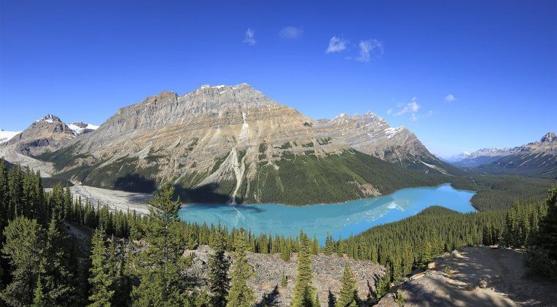 озеро, горы, отражения, лес, канада, альберта Ice water dogphoto preview