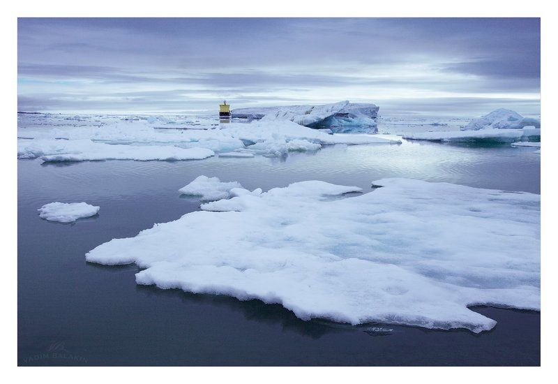 архипелаг земля франца-иосифа, северный ледовитый океан, россия В далёкой холодной Арктике...photo preview