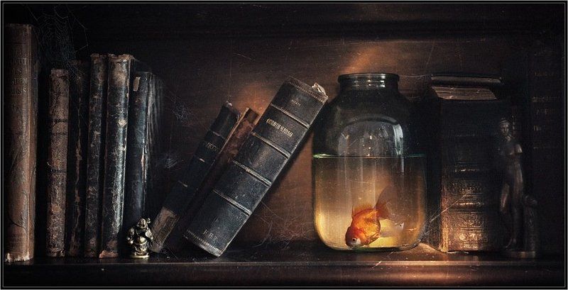 fish,glass,books,still life,art,photos,пыль,книги,банка,рыбка,свет,арт,фото,натюрморт,владимир,шипулин Пыль... (Dust...)photo preview