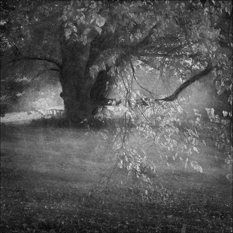 Ровестник старины глубокойphoto preview