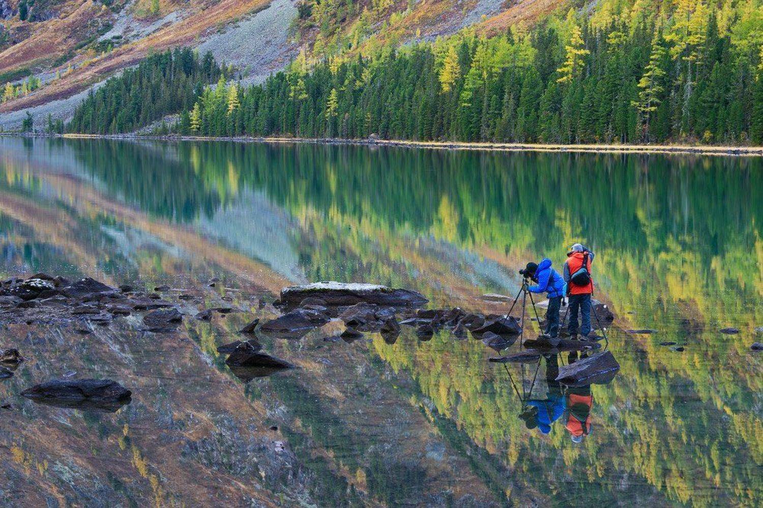 алтай, мульта, altay, multa, Александр Ермолицкий