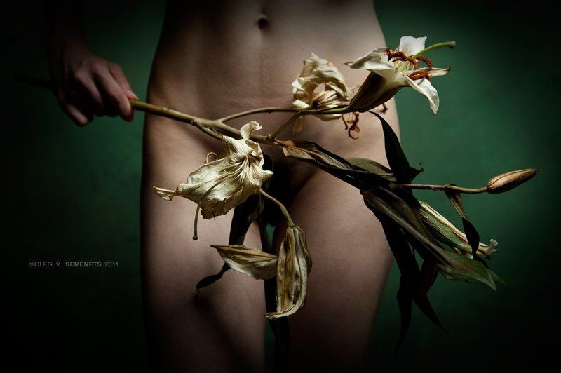 erotic Chamber №photo preview