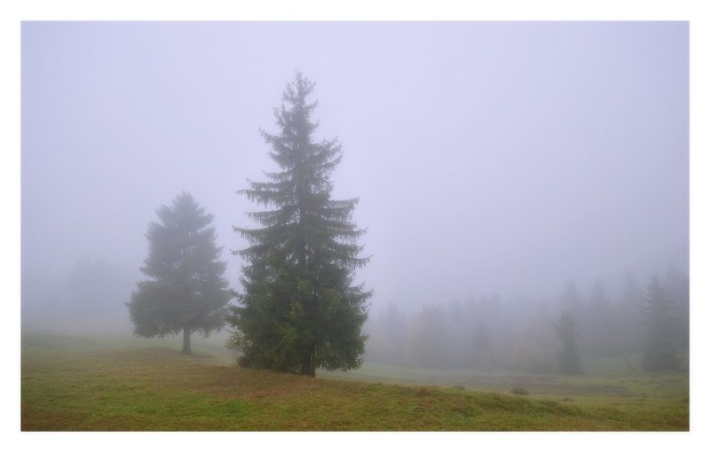 карпаты Когда с гор спускаются облакаphoto preview