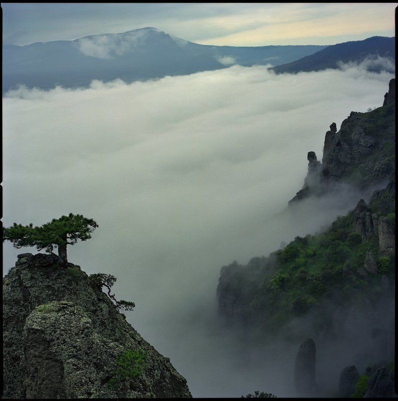 обитаемые облакаphoto preview